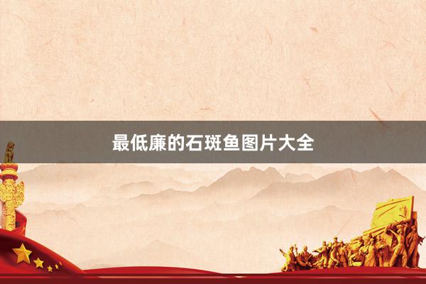 最低廉的石斑鱼图片大全